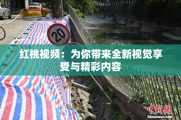 红桃视频：为你带来全新视觉享受与精彩内容