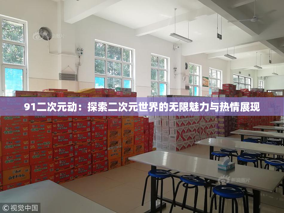 91二次元动：探索二次元世界的无限魅力与热情展现