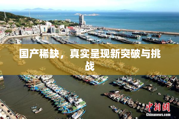 国产稀缺，真实呈现新突破与挑战