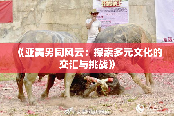 《亚美男同风云：探索多元文化的交汇与挑战》