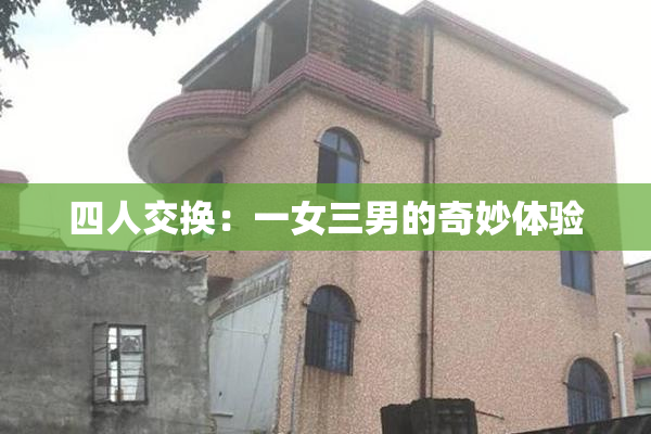 四人交换：一女三男的奇妙体验