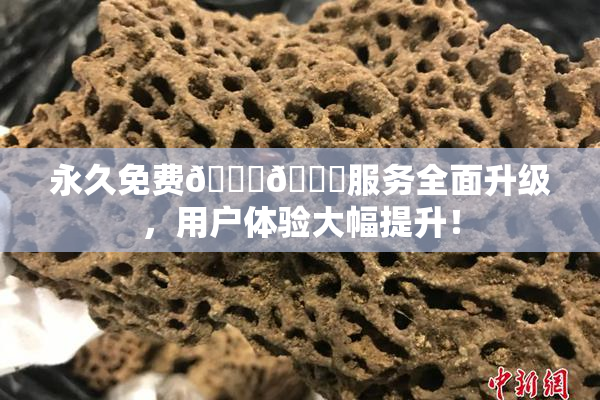 永久免费🔞🔞服务全面升级，用户体验大幅提升！