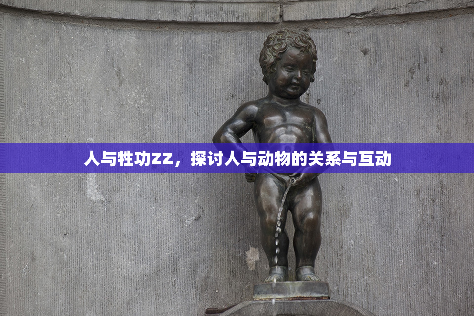 人与牲功ZZ，探讨人与动物的关系与互动