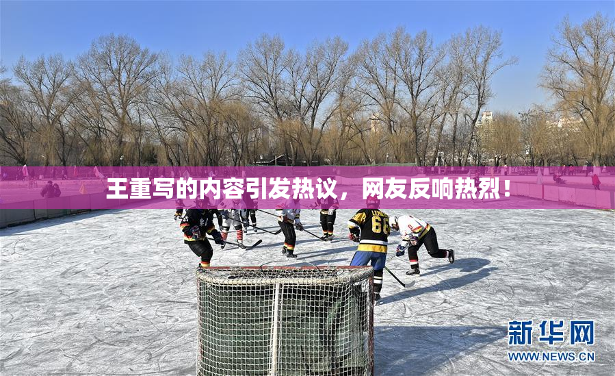 王重写的内容引发热议，网友反响热烈！