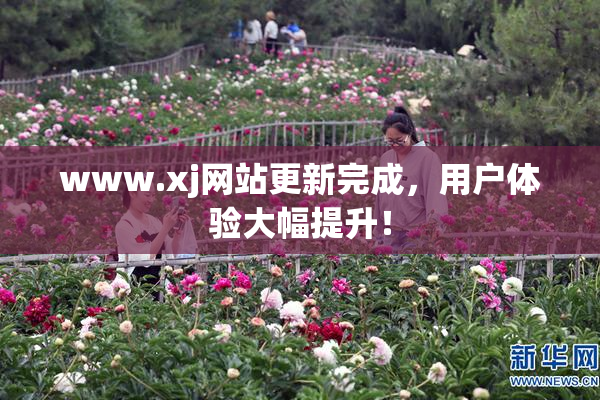 www.xj网站更新完成，用户体验大幅提升！