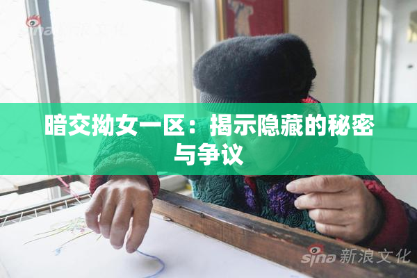 暗交拗女一区：揭示隐藏的秘密与争议