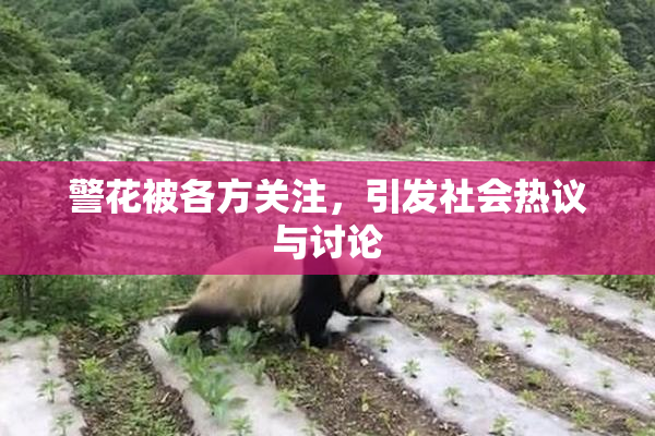 警花被各方关注，引发社会热议与讨论