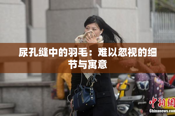 尿孔缝中的羽毛：难以忽视的细节与寓意