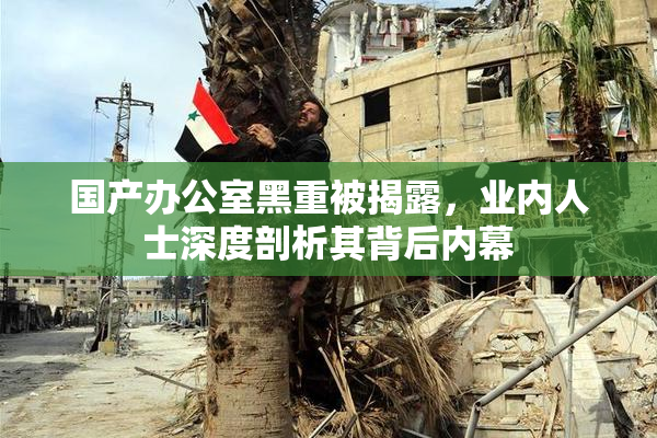 国产办公室黑重被揭露，业内人士深度剖析其背后内幕