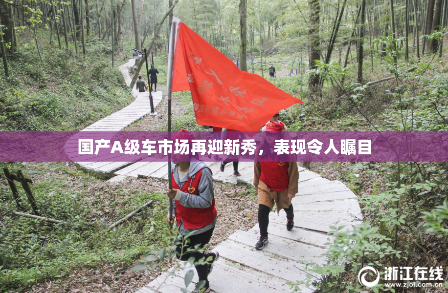 国产A级车市场再迎新秀，表现令人瞩目