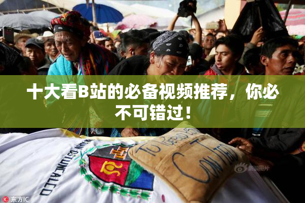 十大看B站的必备视频推荐，你必不可错过！