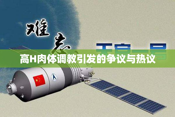 高H肉体调教引发的争议与热议