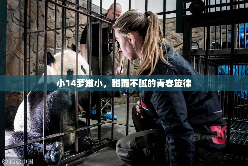 小14萝嫩小，甜而不腻的青春旋律