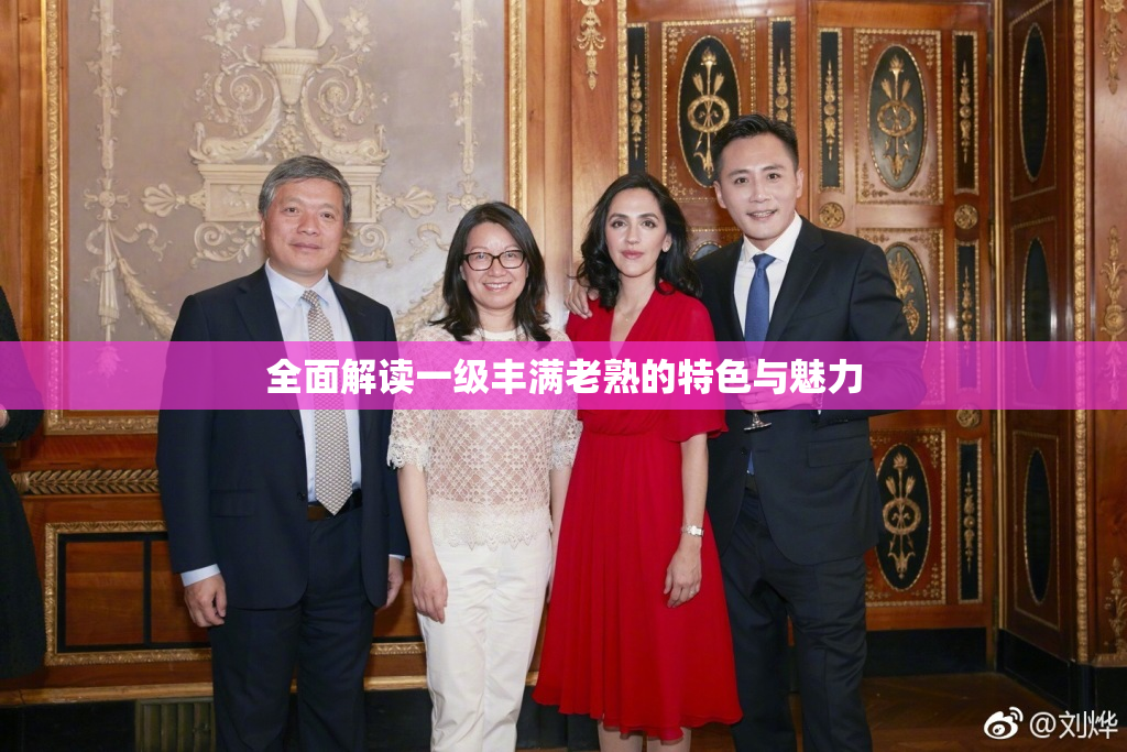 全面解读一级丰满老熟的特色与魅力