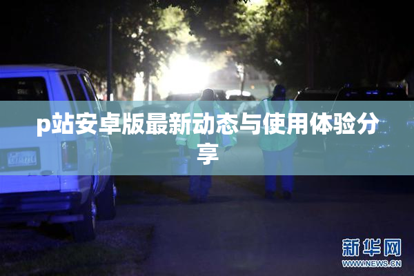 p站安卓版最新动态与使用体验分享