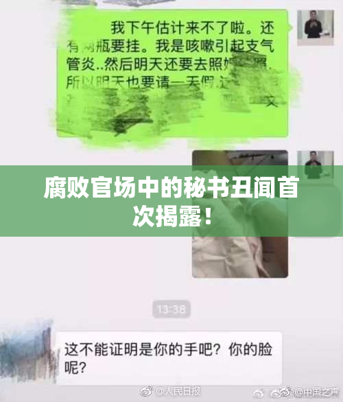 腐败官场中的秘书丑闻首次揭露！