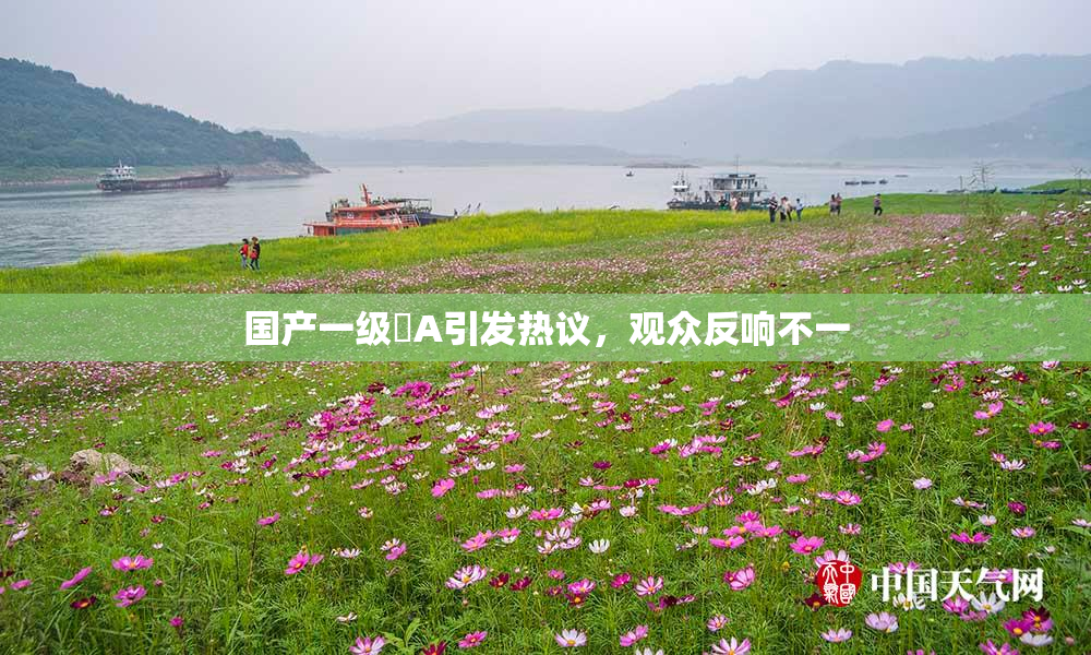 国产一级婬A引发热议，观众反响不一