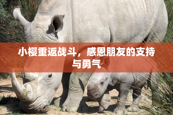 小樱重返战斗，感恩朋友的支持与勇气
