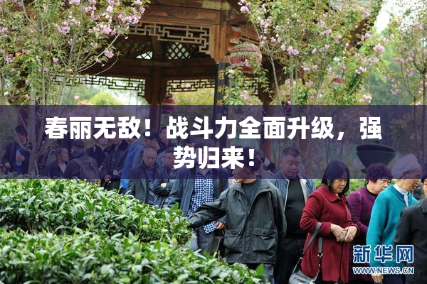 春丽无敌！战斗力全面升级，强势归来！