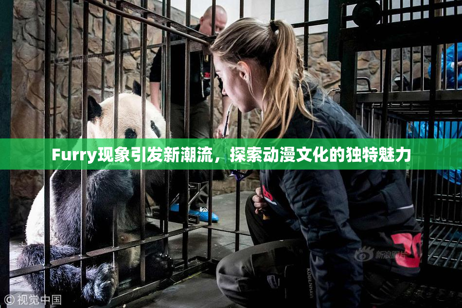 Furry现象引发新潮流，探索动漫文化的独特魅力