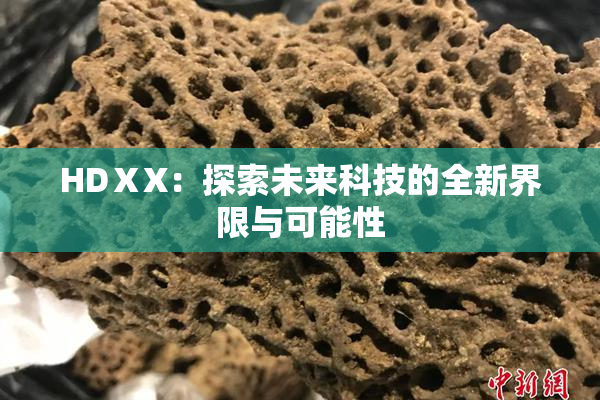HDⅩX：探索未来科技的全新界限与可能性