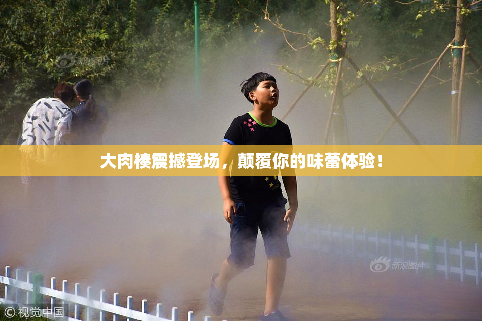 大肉楱震撼登场，颠覆你的味蕾体验！