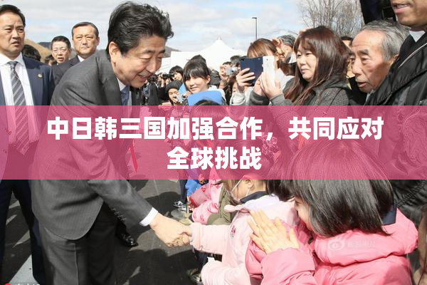 中日韩三国加强合作，共同应对全球挑战