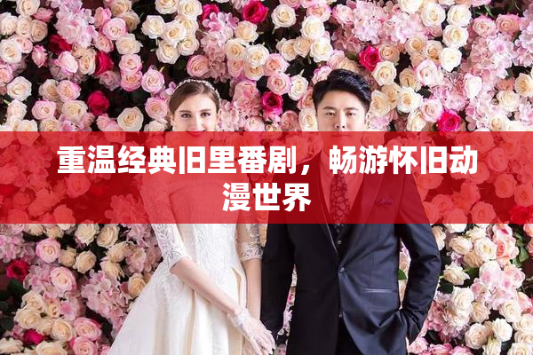 重温经典旧里番剧，畅游怀旧动漫世界