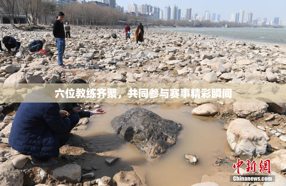六位教练齐聚，共同参与赛事精彩瞬间