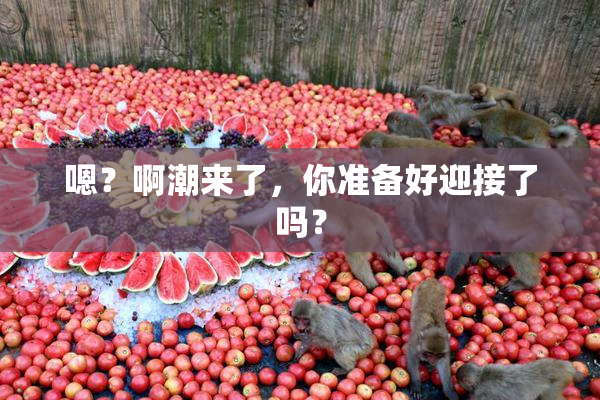 嗯？啊潮来了，你准备好迎接了吗？