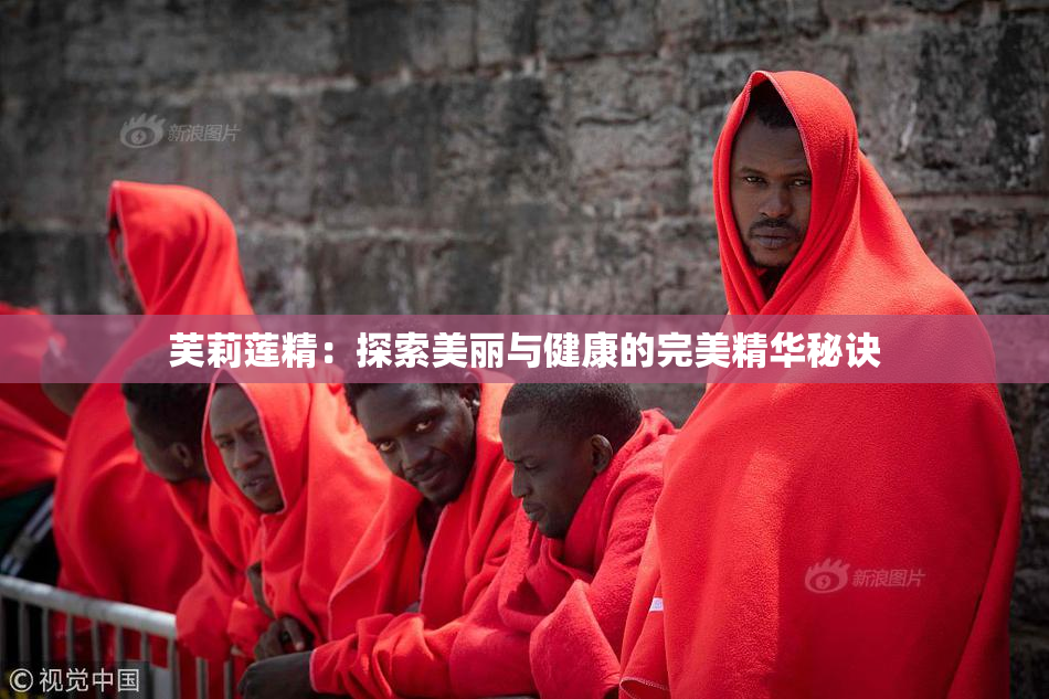 芙莉莲精：探索美丽与健康的完美精华秘诀