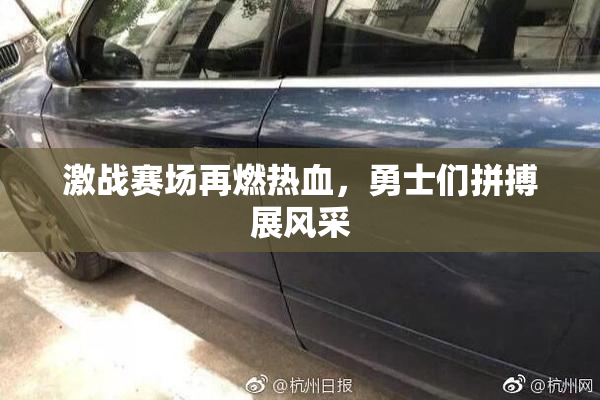 激战赛场再燃热血，勇士们拼搏展风采