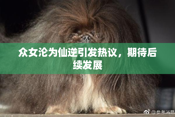 众女沦为仙逆引发热议，期待后续发展