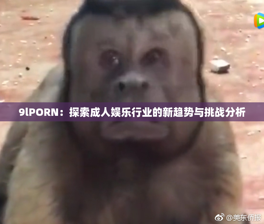 9lPORN：探索成人娱乐行业的新趋势与挑战分析
