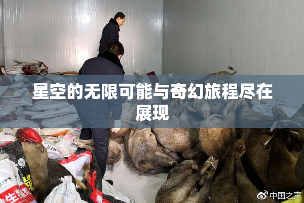 星空的无限可能与奇幻旅程尽在展现