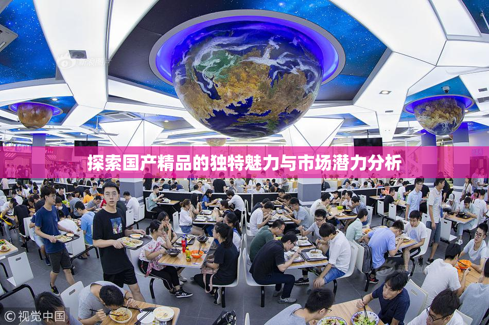 探索国产精品的独特魅力与市场潜力分析