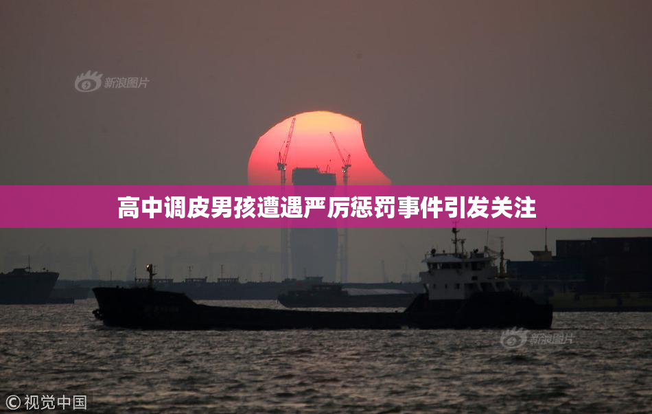 高中调皮男孩遭遇严厉惩罚事件引发关注