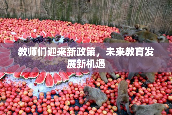 教师们迎来新政策，未来教育发展新机遇