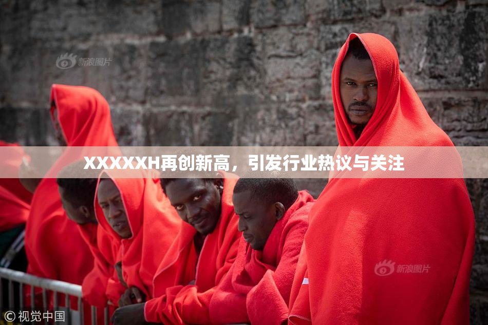 XXXXXH再创新高，引发行业热议与关注