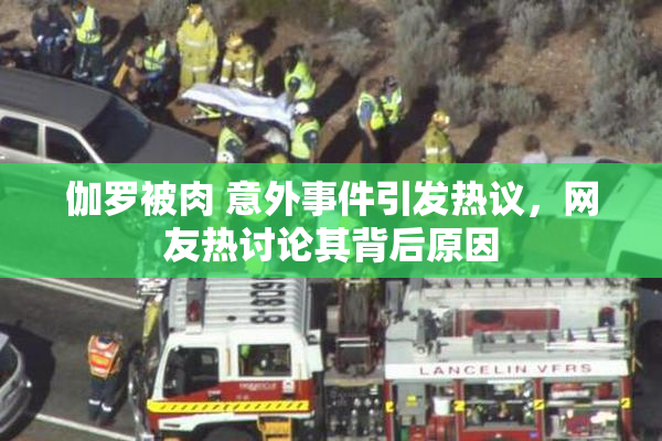 伽罗被肉 意外事件引发热议，网友热讨论其背后原因