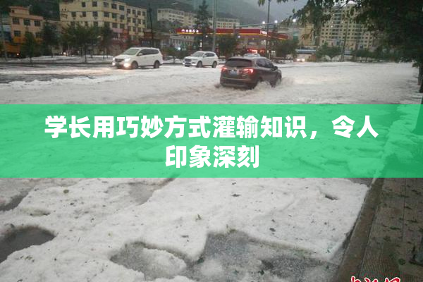 学长用巧妙方式灌输知识，令人印象深刻