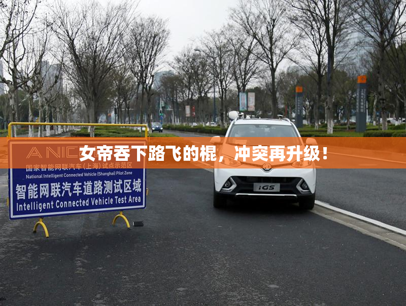 女帝吞下路飞的棍，冲突再升级！