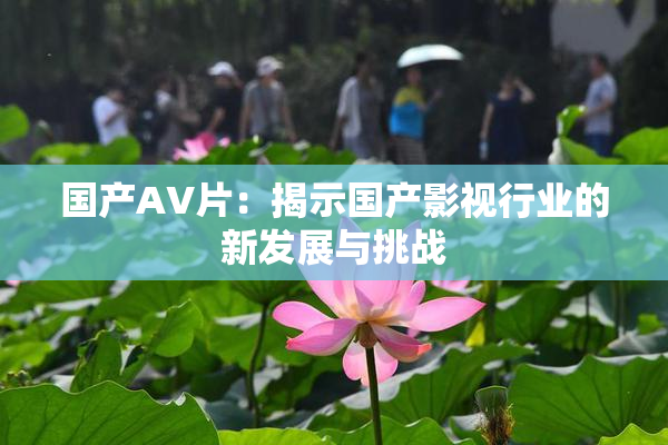 国产AV片：揭示国产影视行业的新发展与挑战
