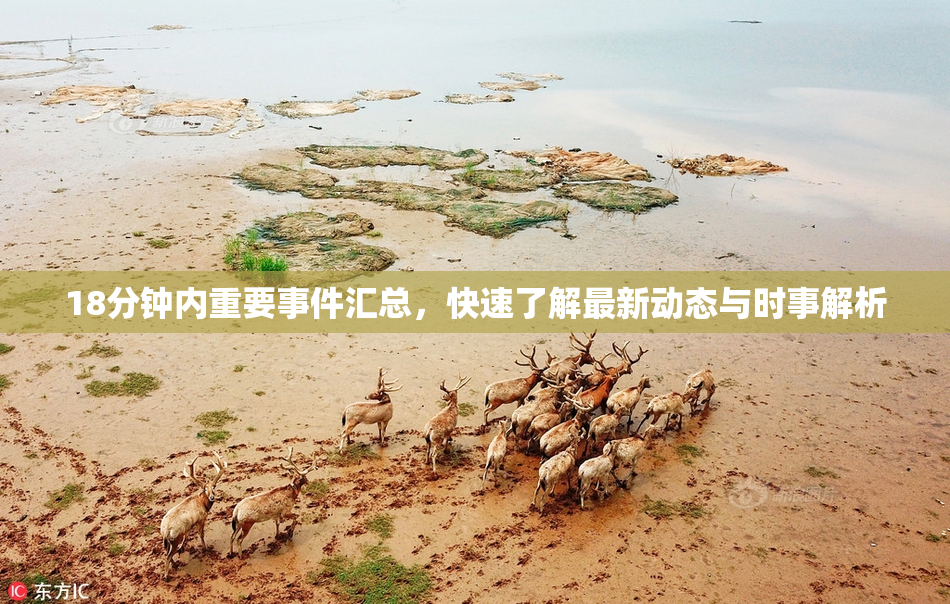 18分钟内重要事件汇总，快速了解最新动态与时事解析