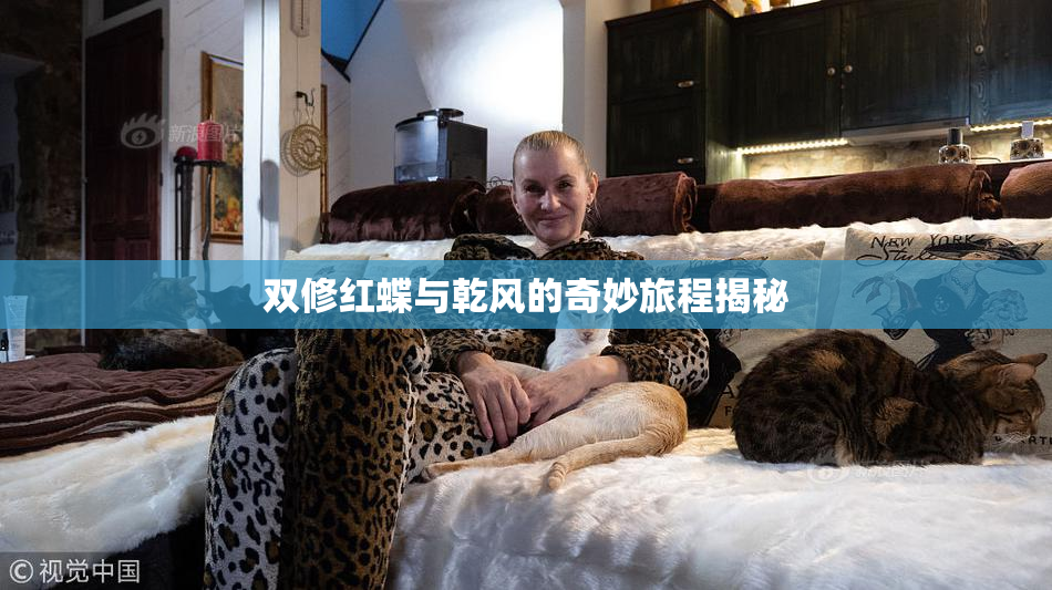 双修红蝶与乾风的奇妙旅程揭秘