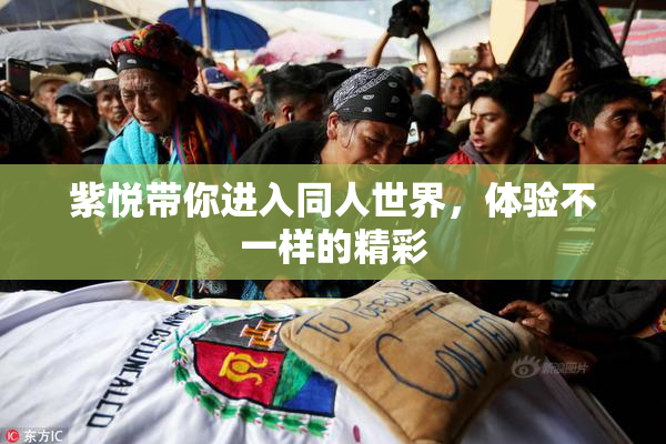 紫悦带你进入同人世界，体验不一样的精彩