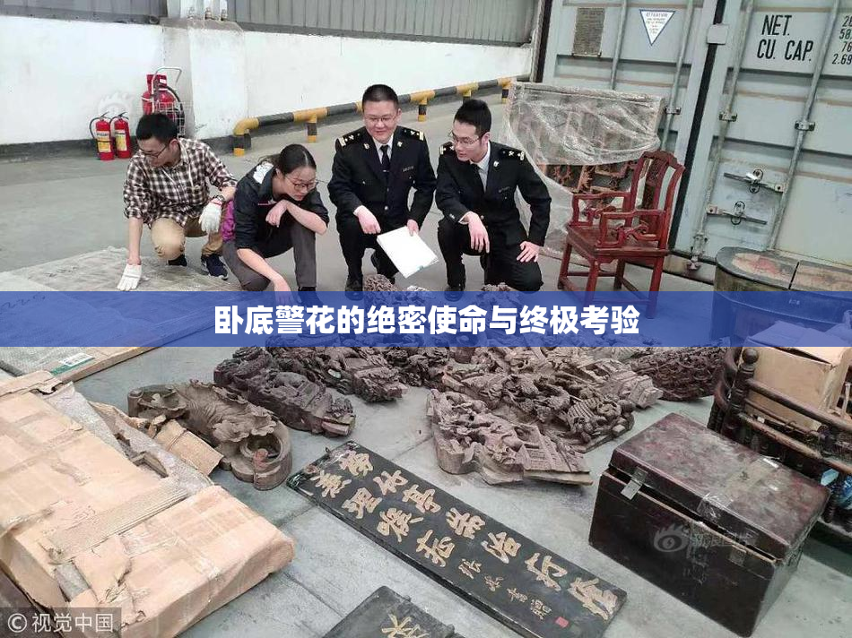 卧底警花的绝密使命与终极考验