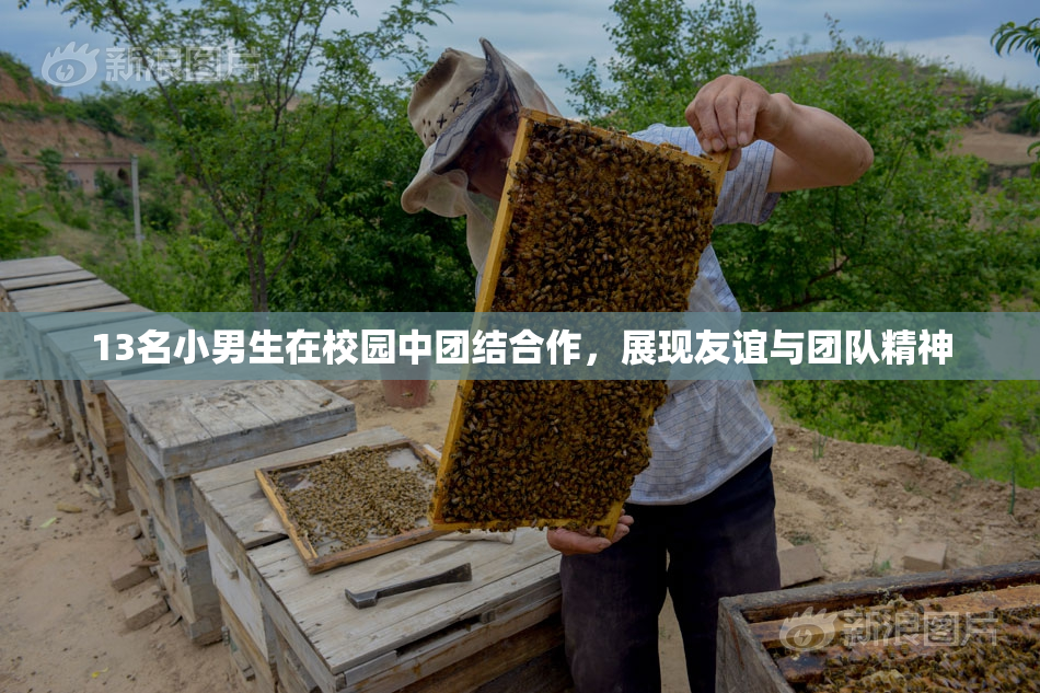 13名小男生在校园中团结合作，展现友谊与团队精神