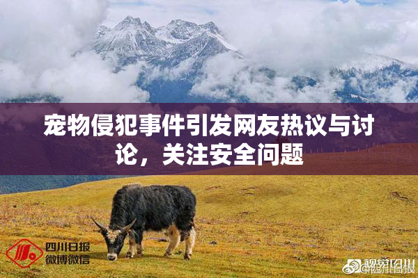 宠物侵犯事件引发网友热议与讨论，关注安全问题
