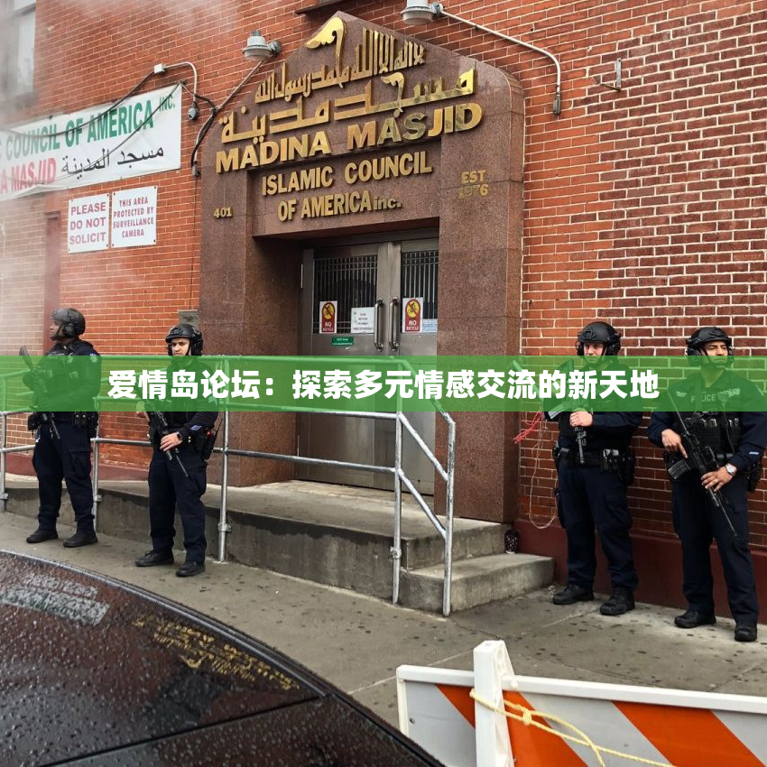 爱情岛论坛：探索多元情感交流的新天地